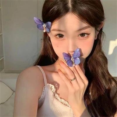 安妮·李斯特的秘密日记 封面